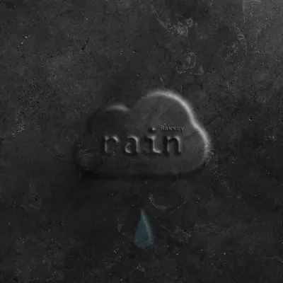 Rain cover